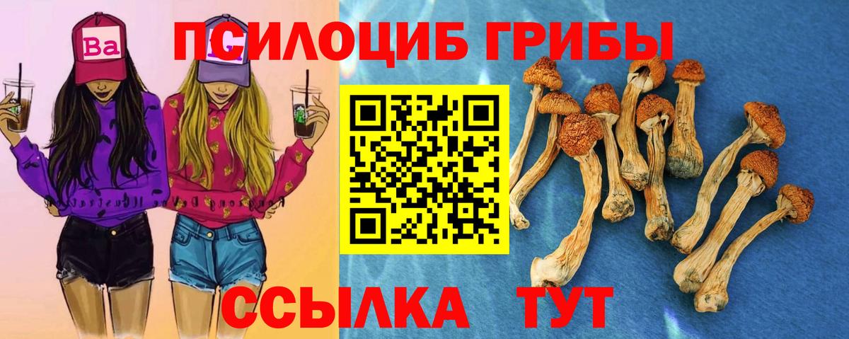 Псилоцибиновые грибы ЛСД  Псилоцибиновые грибы мухоморы  продажа наркотиков  Уссурийск  Вход с VPN 